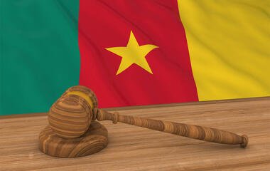 Cameroonian Law Concept - Flag of Cameroon Behind Judge's Gavel 3D Illustration